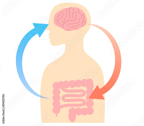 How stress causes stomach aches, and the relationship between the brain and the gut. Illustration of the gut-brain connection