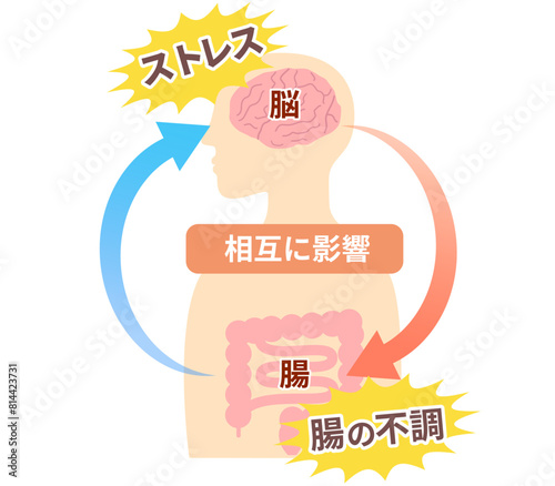 ストレスでお腹が痛くなる仕組み、脳と腸の関係。脳腸相関のイラスト。