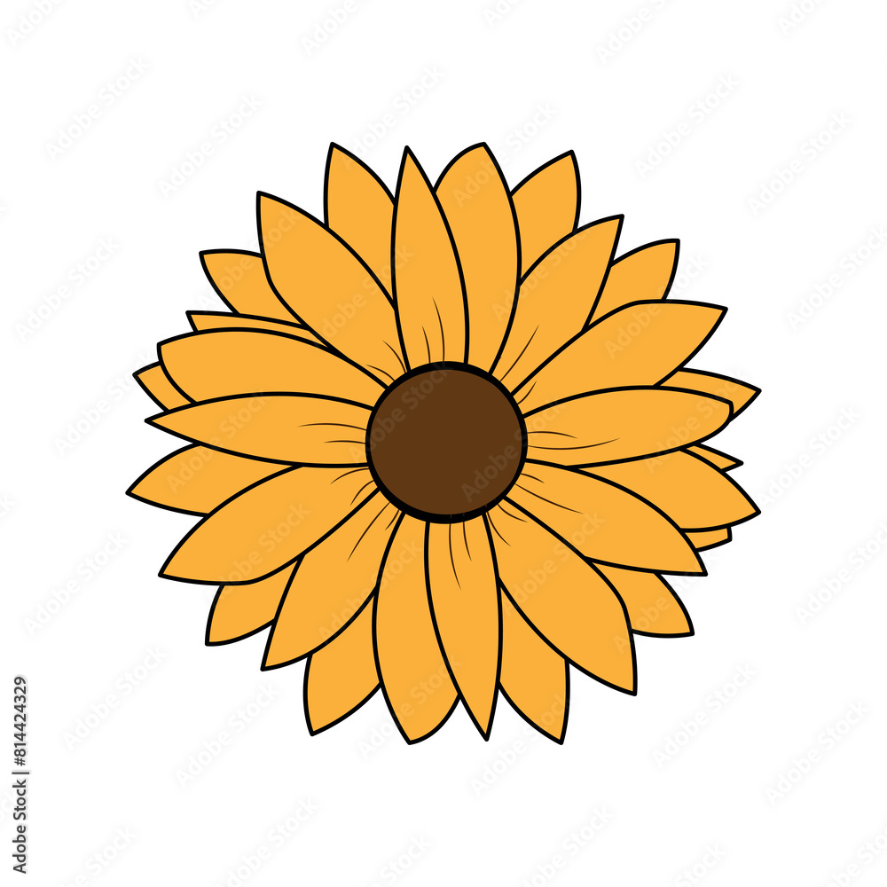 Fototapeta premium Vector illustration of a sunflower