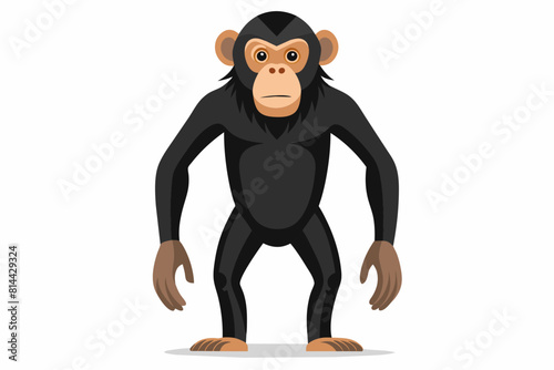 chimpanzee cartoon vector illustration