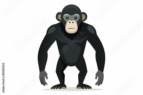chimpanzee cartoon vector illustration