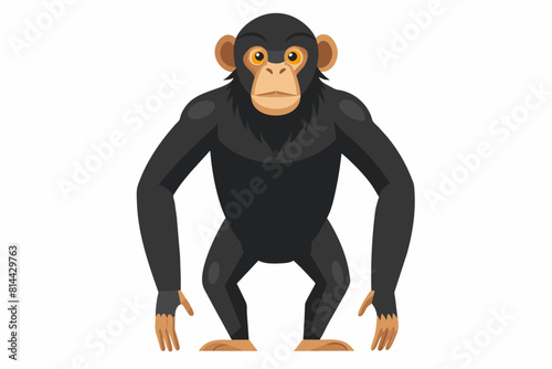chimpanzee cartoon vector illustration