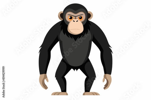chimpanzee cartoon vector illustration