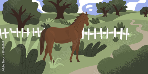 Horizontal landscape with a horse grazing. Country life on the farm. Background for farmers and stable owners. Vector illustration with isolated elements.