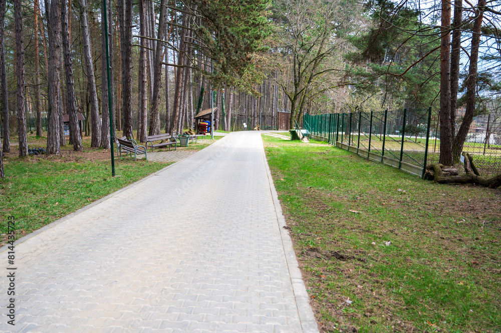 Obraz premium Narrow road in the autumn forest.