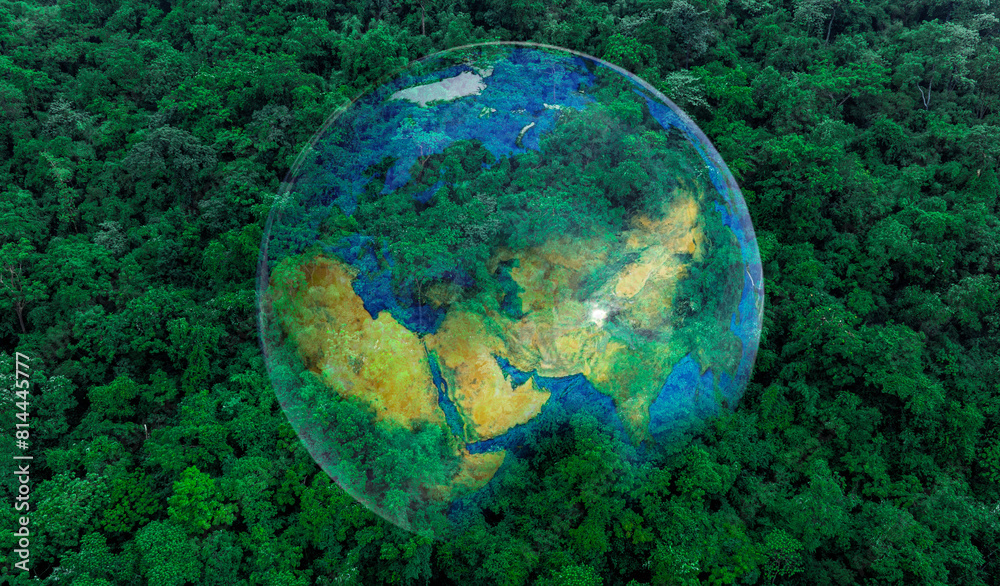 Aerial view of the green forest against the land. Demonstrates the concept of preserving the ecosystem and nature, air pollution and saving the planet. Aerial view of the green forest against the land. Demonstrates the concept of preserving the ecosystem and nature, air pollution and saving the planet.