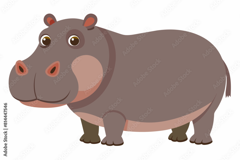 hippopotamus cartoon vector illustration hippopotamus cartoon vector illustration