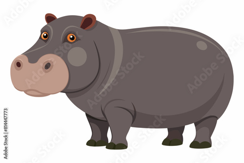 hippopotamus cartoon vector illustration