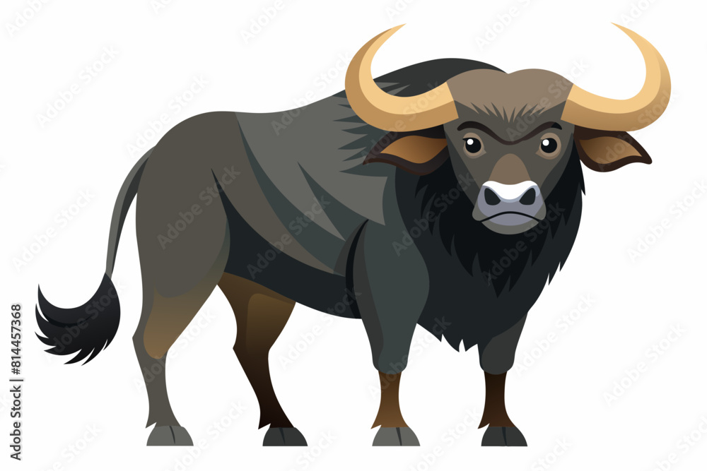 buffalo cartoon vector illustration buffalo cartoon vector illustration
