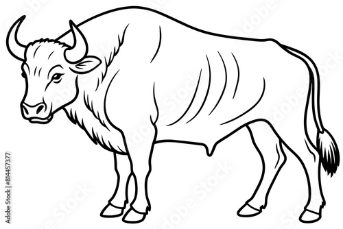 buffalo cartoon vector illustration