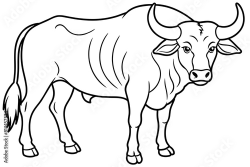 buffalo cartoon vector illustration