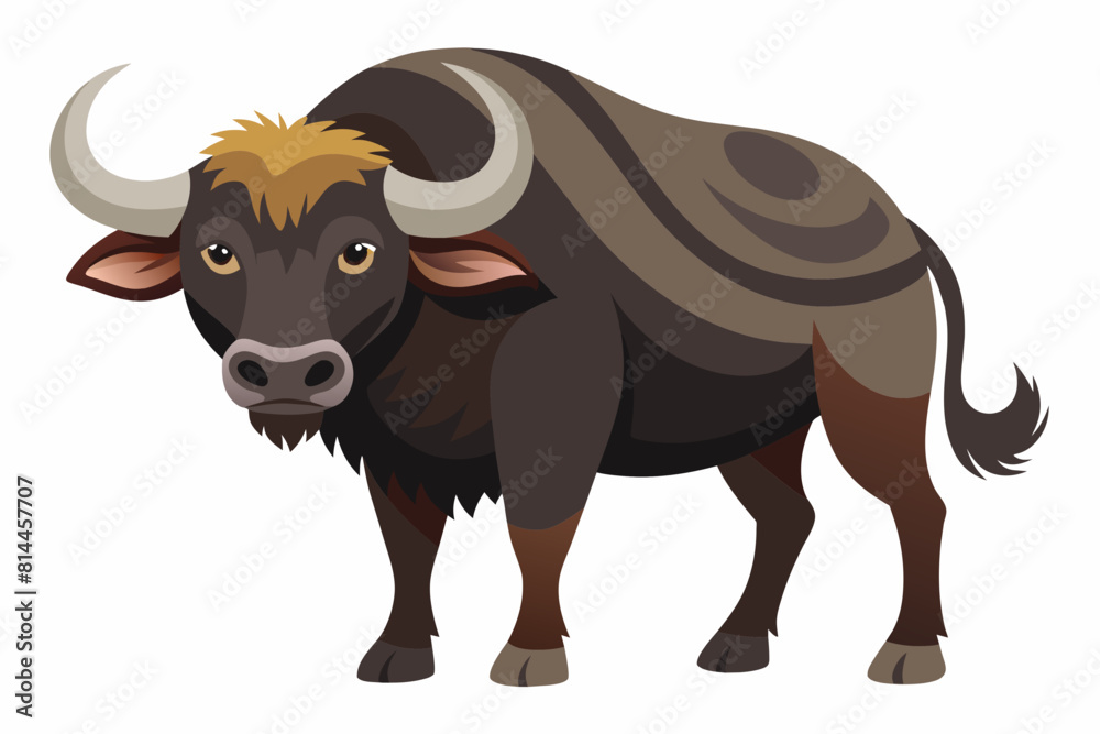 buffalo cartoon vector illustration buffalo cartoon vector illustration