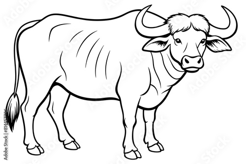 buffalo cartoon vector illustration