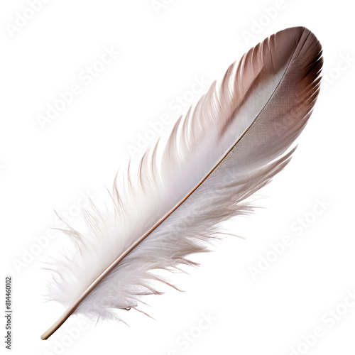 ai-generated item, rare, odd, down feather soft fluffy feathers located beneath the contour feathers used for insulation and m,  photo