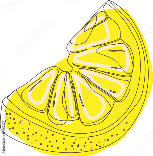 A piece of lemon. Hand drawing. Vector illustration.