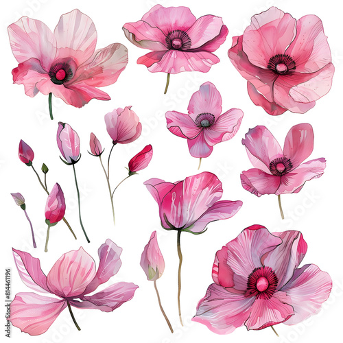 flower clip art set on transparent png background