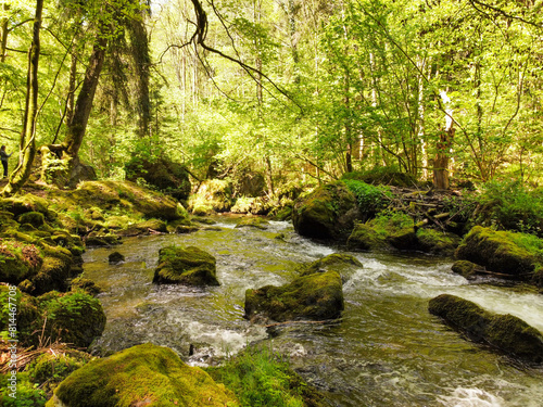 Mountain river flowing inside mysterious forest, Vogtland Triebtal