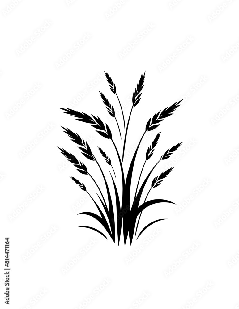 silhouette of gras silhouette of gras