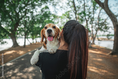 Woman with happy beagle dog looking over her shoulder in public park. Dog and owner together, best friends. Love for animals