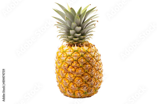A golden pineapple isolated on black background.