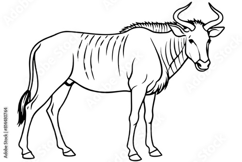  wildebeest cartoon vector illustration