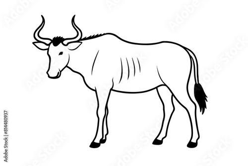  wildebeest cartoon vector illustration