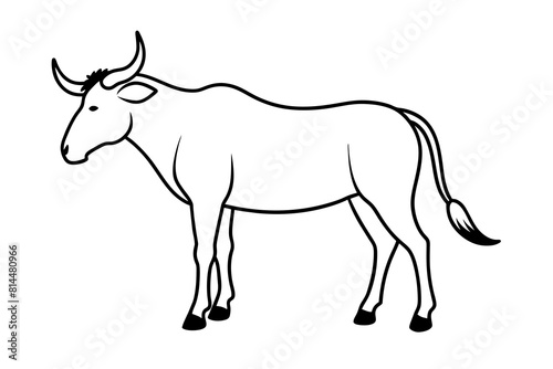  wildebeest cartoon vector illustration