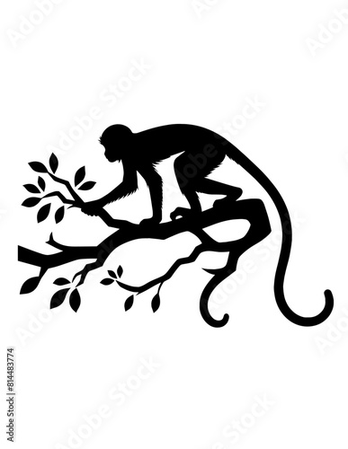 silhouette of monkey