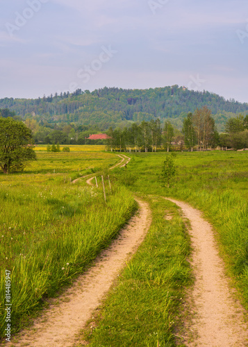 Beautiful nature of agricultural land. A country road among fields with green  lush grass. High mountains on the horizon