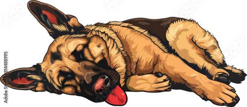 German shepherd lying on the floor its tongue out, Gsd, German shepherd vector