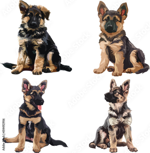 A german shepherd puppy is sitting down, clipart, vector illustration, Gsd vector
