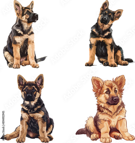 A german shepherd puppy is sitting down, clipart, vector illustration, Gsd vector