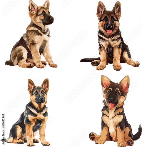 A german shepherd puppy is sitting down, clipart, vector illustration, Gsd vector