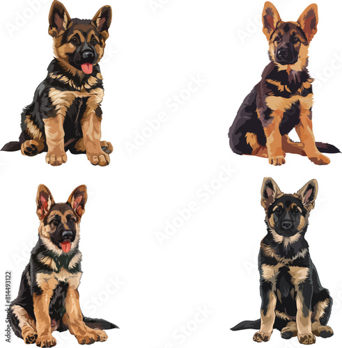 A german shepherd puppy is sitting down, clipart, vector illustration, Gsd vector