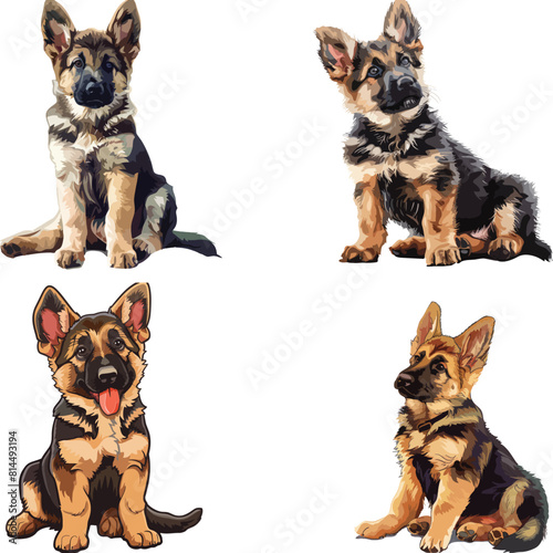 A german shepherd puppy is sitting down, clipart, vector illustration, Gsd vector