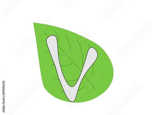 the leaf is large green and the letter v on a transparent background