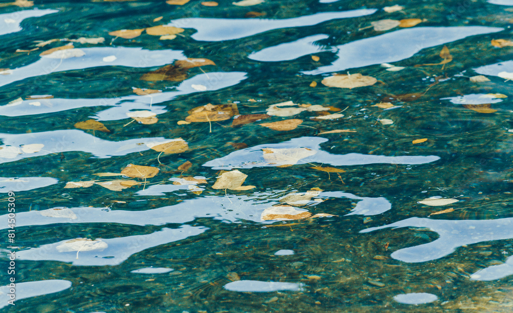 Background image of fallen leaves floating in lake water. Background image of fallen leaves floating in lake water.