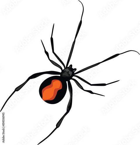 Black Spider Arthropod Animal Vector