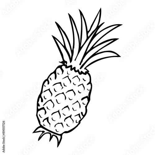pineapple outline illustration isolated on white background