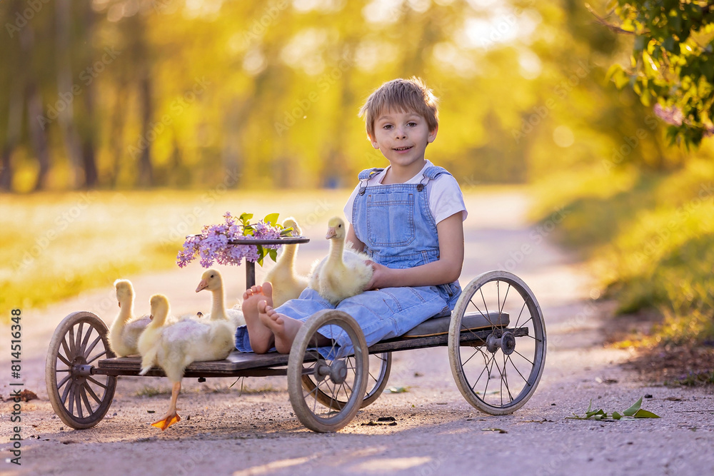Cute beautiful schoolchild, playing with little gosling in a park on sunset Cute beautiful schoolchild, playing with little gosling in a park on sunset