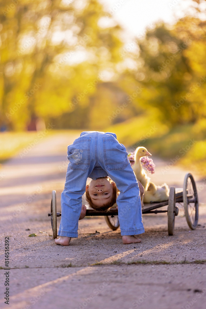Fototapeta premium Cute beautiful schoolchild, playing with little gosling in a park on sunset