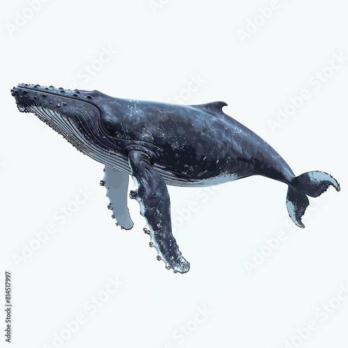 Whale shark isolated on white background. 3D render. Illustration.