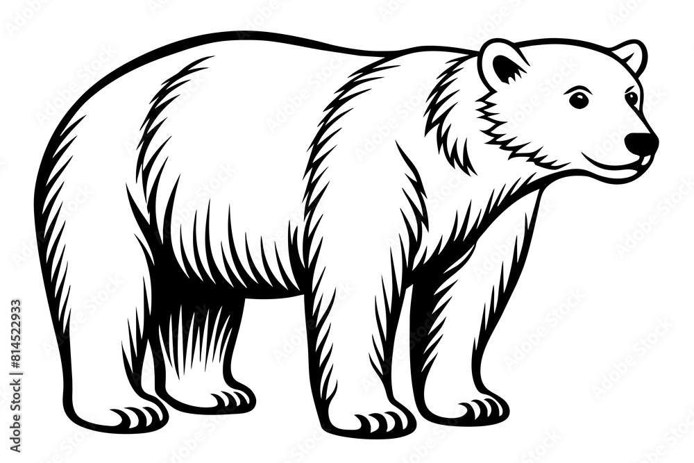 polar bear line art silhouette vector illustration polar bear line art silhouette vector illustration