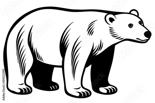 polar bear line art silhouette vector illustration