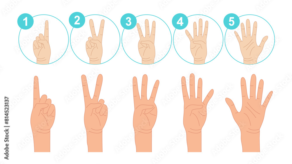 Human Hands Expressing Numbers 1, 2, 3, 4, and 5. Fingers Expressing Count from One to Five. Counting Hand: One, two, three, four, five. Set of Counting Hand Gestures. Vector. Human Hands Expressing Numbers 1, 2, 3, 4, and 5. Fingers Expressing Count from One to Five. Counting Hand: One, two, three, four, five. Set of Counting Hand Gestures. Vector.