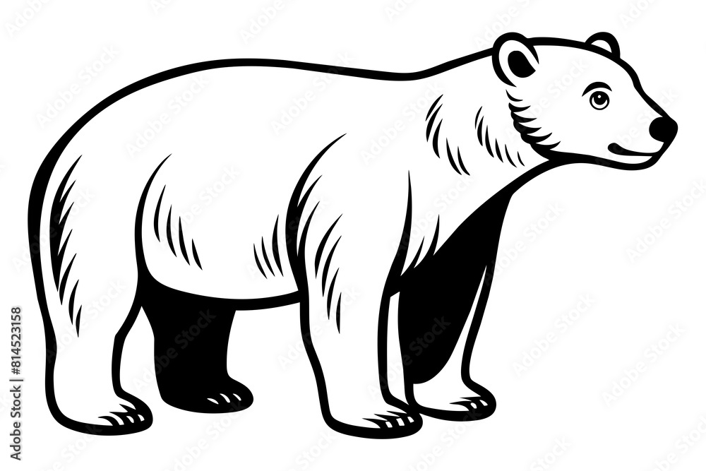 polar bear line art silhouette vector illustration polar bear line art silhouette vector illustration