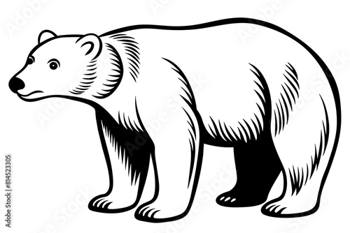 polar bear line art silhouette vector illustration