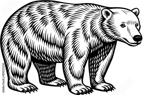 polar bear line art silhouette vector illustration
