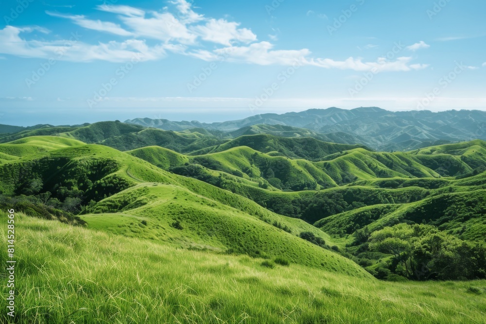 Lush Green Hills Under Bright Blue Sky