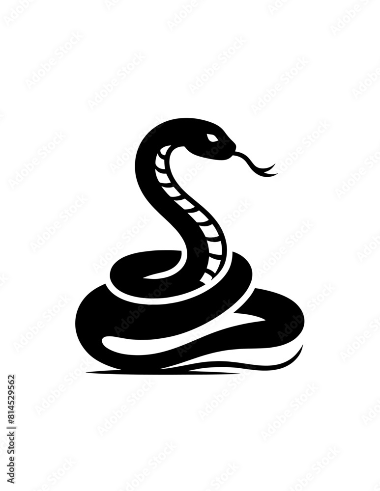 Fototapeta premium silhouette of snake